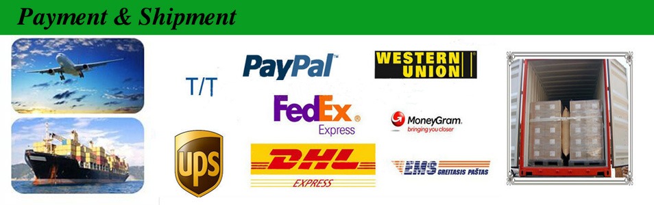 payment & shipment